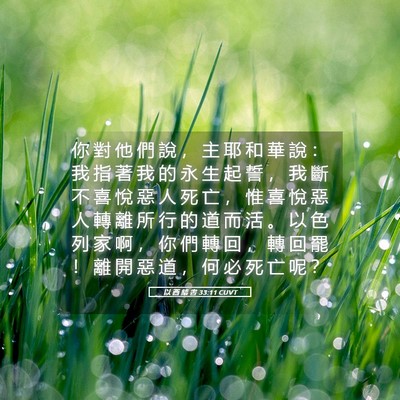 Picture 05 - 以 西 結 書 33:11 CUVT - 你 對 他 們 說 ， 主 耶 和 華 說 ： - Bible Verse Picture