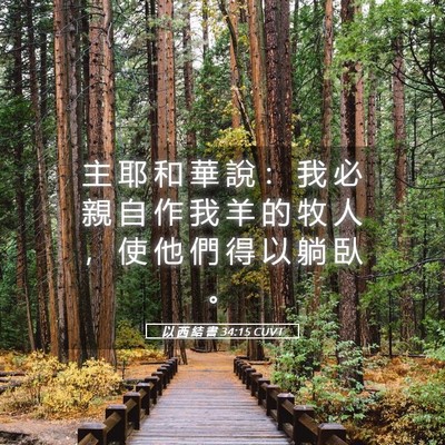 Picture 05 - 以 西 結 書 34:15 CUVT - 主 耶 和 華 說 ： 我 必 親 自 作 我 - Bible Verse Picture
