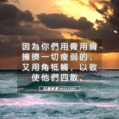 Picture 05 - 以 西 結 書 34:21 CUVT - 因 為 你 們 用 脅 用 肩 擁 擠 一 切 - Bible Verse Picture