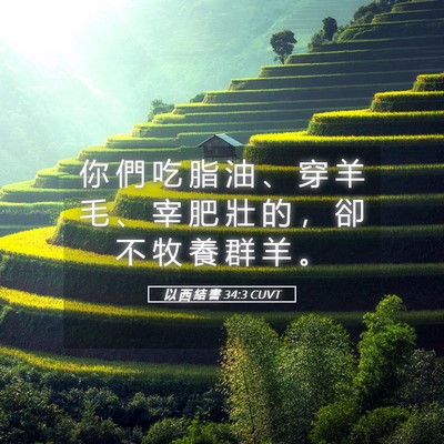Picture 05 - 以 西 結 書 34:3 CUVT - 你 們 吃 脂 油 、 穿 羊 毛 、 宰 肥 - Bible Verse Picture