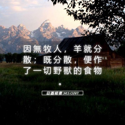 Picture 05 - 以 西 結 書 34:5 CUVT - 因 無 牧 人 ， 羊 就 分 散 ； 既 分 - Bible Verse Picture