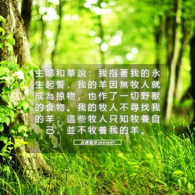 Picture 05 - 以 西 結 書 34:8 CUVT - 主 耶 和 華 說 ： 我 指 著 我 的 永 - Bible Verse Picture