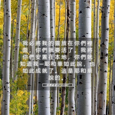 Picture 05 - 以 西 結 書 37:14 CUVT - 我 必 將 我 的 靈 放 在 你 們 裡 面 - Bible Verse Picture