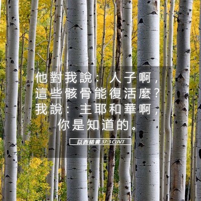 Picture 05 - 以 西 結 書 37:3 CUVT - 他 對 我 說 ： 人 子 啊 ， 這 些 骸 - Bible Verse Picture