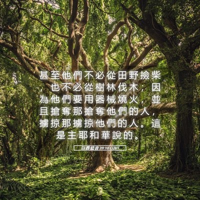 Picture 05 - 以 西 結 書 39:10 CUVT - 甚 至 他 們 不 必 從 田 野 撿 柴 ， - Bible Verse Picture