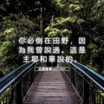 Picture 05 - 以 西 結 書 39:5 CUVT - 你 必 倒 在 田 野 ， 因 為 我 曾 說 - Bible Verse Picture