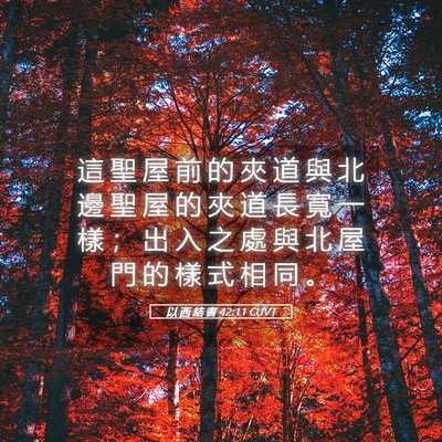 Picture 05 - 以 西 結 書 42:11 CUVT - 這 聖 屋 前 的 夾 道 與 北 邊 聖 屋 - Bible Verse Picture