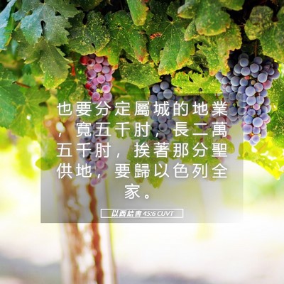 Picture 05 - 以 西 結 書 45:6 CUVT - 也 要 分 定 屬 城 的 地 業 ， 寬 五 - Bible Verse Picture