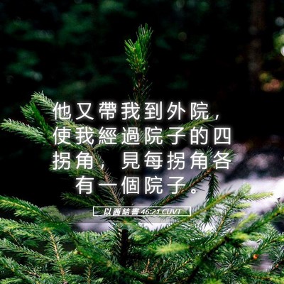 Picture 05 - 以 西 結 書 46:21 CUVT - 他 又 帶 我 到 外 院 ， 使 我 經 過 - Bible Verse Picture