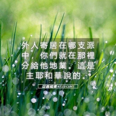 Picture 05 - 以 西 結 書 47:23 CUVT - 外 人 寄 居 在 哪 支 派 中 ， 你 們 - Bible Verse Picture