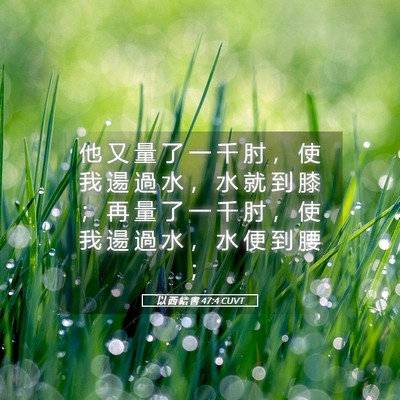 Picture 05 - 以 西 結 書 47:4 CUVT - 他 又 量 了 一 千 肘 ， 使 我 逿 過 - Bible Verse Picture