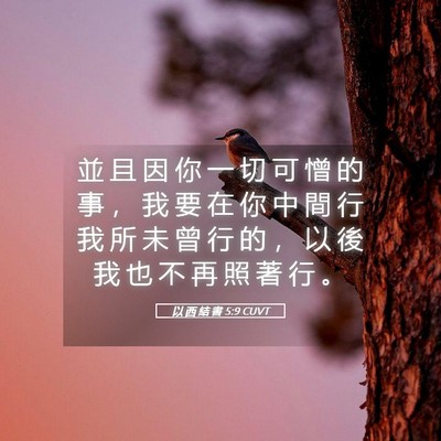 Picture 05 - 以 西 結 書 5:9 CUVT - 並 且 因 你 一 切 可 憎 的 事 ， 我 - Bible Verse Picture