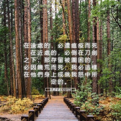 Picture 05 - 以 西 結 書 6:12 CUVT - 在 遠 處 的 ， 必 遭 瘟 疫 而 死 ； - Bible Verse Picture