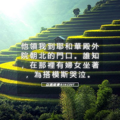 Picture 05 - 以 西 結 書 8:14 CUVT - 他 領 我 到 耶 和 華 殿 外 院 朝 北 - Bible Verse Picture