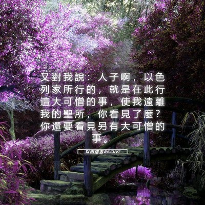 Picture 05 - 以 西 結 書 8:6 CUVT - 又 對 我 說 ： 人 子 啊 ， 以 色 列 - Bible Verse Picture