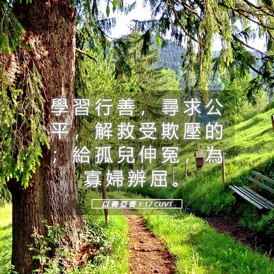 Picture 05 - 以 賽 亞 書 1:17 CUVT - 學 習 行 善 ， 尋 求 公 平 ， 解 救 - Bible Verse Picture