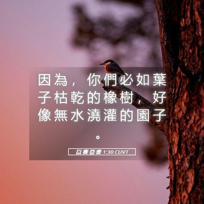 Picture 05 - 以 賽 亞 書 1:30 CUVT - 因 為 ， 你 們 必 如 葉 子 枯 乾 的 - Bible Verse Picture