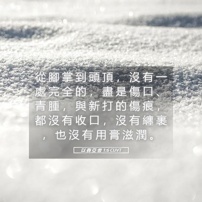 Picture 05 - 以 賽 亞 書 1:6 CUVT - 從 腳 掌 到 頭 頂 ， 沒 有 一 處 完 - Bible Verse Picture