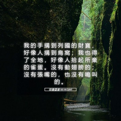 Picture 05 - 以 賽 亞 書 10:14 CUVT - 我 的 手 搆 到 列 國 的 財 寶 ， 好 - Bible Verse Picture