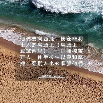 Picture 05 - 以 賽 亞 書 11:14 CUVT - 他 們 要 向 西 飛 ， 撲 在 非 利 士 - Bible Verse Picture