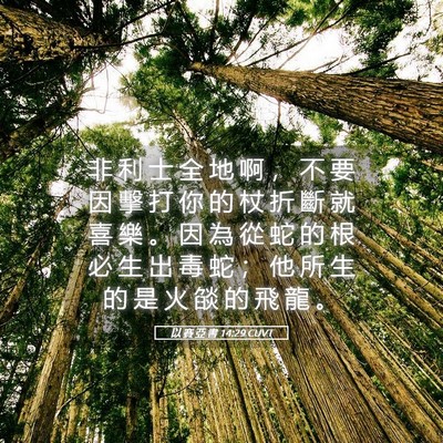 Picture 05 - 以 賽 亞 書 14:29 CUVT - 非 利 士 全 地 啊 ， 不 要 因 擊 打 - Bible Verse Picture