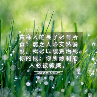 Picture 05 - 以 賽 亞 書 14:30 CUVT - 貧 寒 人 的 長 子 必 有 所 食 ； 窮 - Bible Verse Picture