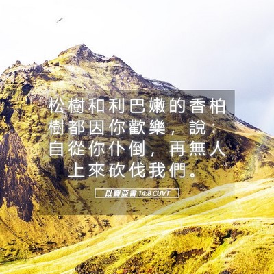Picture 05 - 以 賽 亞 書 14:8 CUVT - 松 樹 和 利 巴 嫩 的 香 柏 樹 都 因 - Bible Verse Picture