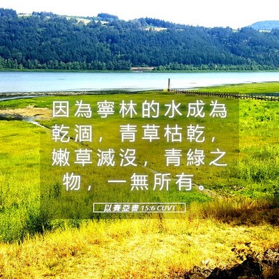 Picture 05 - 以 賽 亞 書 15:6 CUVT - 因 為 寧 林 的 水 成 為 乾 涸 ， 青 - Bible Verse Picture