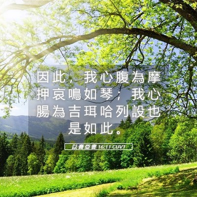 Picture 05 - 以 賽 亞 書 16:11 CUVT - 因 此 ， 我 心 腹 為 摩 押 哀 鳴 如 - Bible Verse Picture