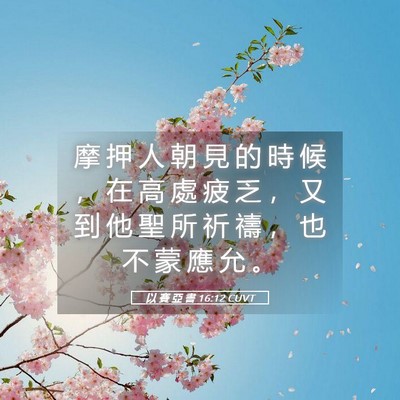 Picture 05 - 以 賽 亞 書 16:12 CUVT - 摩 押 人 朝 見 的 時 候 ， 在 高 處 - Bible Verse Picture