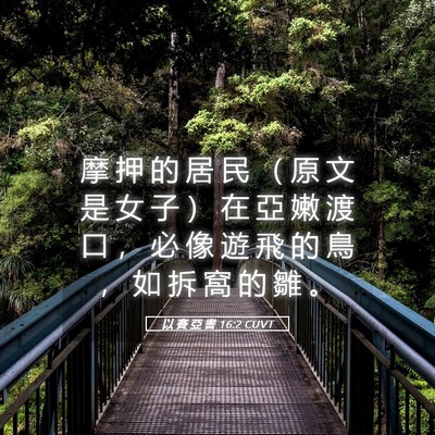 Picture 05 - 以 賽 亞 書 16:2 CUVT - 摩 押 的 居 民 （ 原 文 是 女 子 ） - Bible Verse Picture