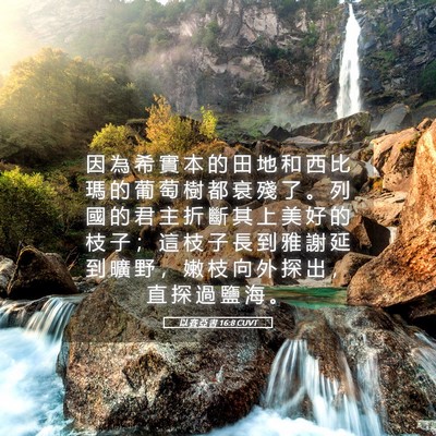 Picture 05 - 以 賽 亞 書 16:8 CUVT - 因 為 希 實 本 的 田 地 和 西 比 瑪 - Bible Verse Picture