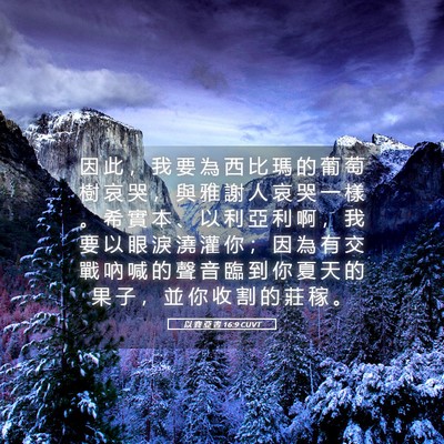 Picture 05 - 以 賽 亞 書 16:9 CUVT - 因 此 ， 我 要 為 西 比 瑪 的 葡 萄 - Bible Verse Picture