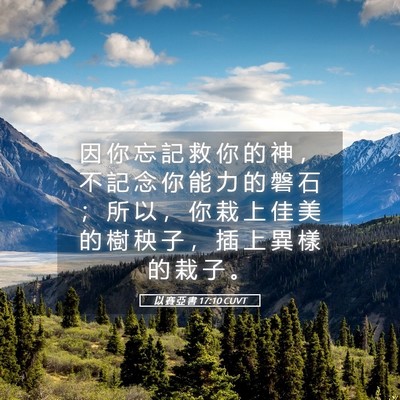 Picture 05 - 以 賽 亞 書 17:10 CUVT - 因 你 忘 記 救 你 的 神 ， 不 記 念 - Bible Verse Picture