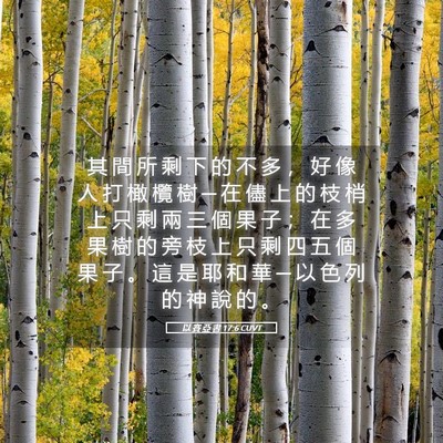 Picture 05 - 以 賽 亞 書 17:6 CUVT - 其 間 所 剩 下 的 不 多 ， 好 像 人 - Bible Verse Picture