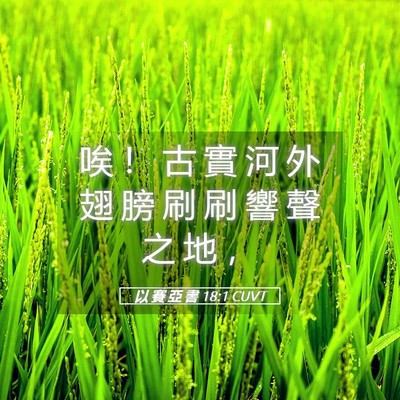 Picture 05 - 以 賽 亞 書 18:1 CUVT - 唉 ！ 古 實 河 外 翅 膀 刷 刷 響 聲 - Bible Verse Picture