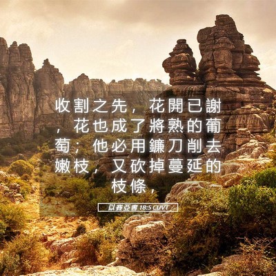 Picture 05 - 以 賽 亞 書 18:5 CUVT - 收 割 之 先 ， 花 開 已 謝 ， 花 也 - Bible Verse Picture