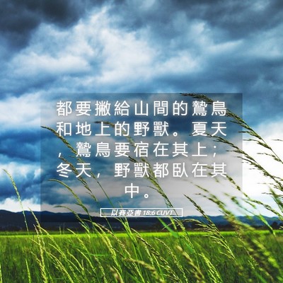 Picture 05 - 以 賽 亞 書 18:6 CUVT - 都 要 撇 給 山 間 的 鷙 鳥 和 地 上 - Bible Verse Picture