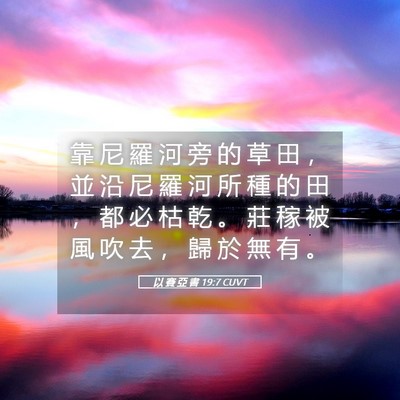 Picture 05 - 以 賽 亞 書 19:7 CUVT - 靠 尼 羅 河 旁 的 草 田 ， 並 沿 尼 - Bible Verse Picture