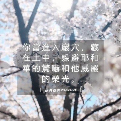 Picture 05 - 以 賽 亞 書 2:10 CUVT - 你 當 進 入 巖 穴 ， 藏 在 土 中 ， - Bible Verse Picture