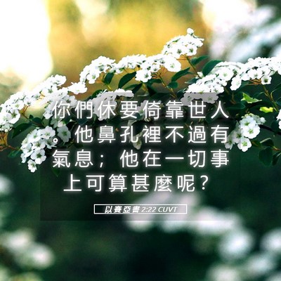 Picture 05 - 以 賽 亞 書 2:22 CUVT - 你 們 休 要 倚 靠 世 人 。 他 鼻 孔 - Bible Verse Picture