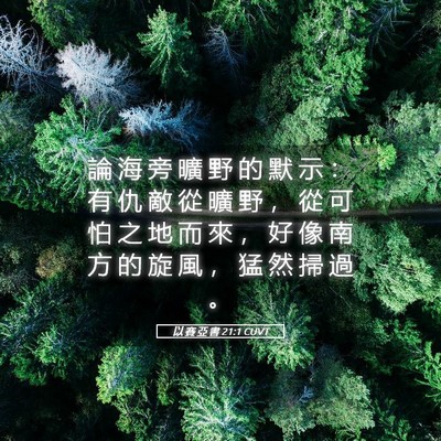 Picture 05 - 以 賽 亞 書 21:1 CUVT - 論 海 旁 曠 野 的 默 示 ： 有 仇 敵 - Bible Verse Picture