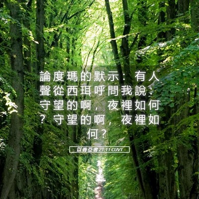 Picture 05 - 以 賽 亞 書 21:11 CUVT - 論 度 瑪 的 默 示 ： 有 人 聲 從 西 - Bible Verse Picture