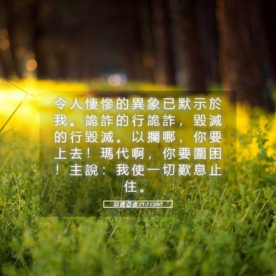 Picture 05 - 以 賽 亞 書 21:2 CUVT - 令 人 悽 慘 的 異 象 已 默 示 於 我 - Bible Verse Picture