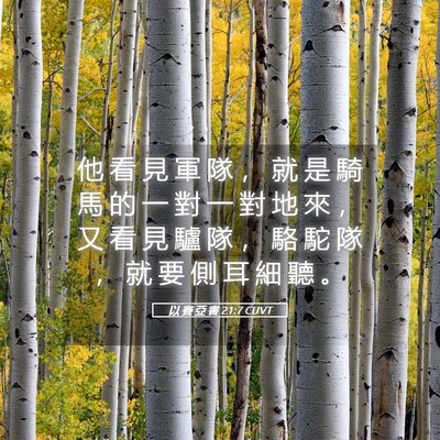 Picture 05 - 以 賽 亞 書 21:7 CUVT - 他 看 見 軍 隊 ， 就 是 騎 馬 的 一 - Bible Verse Picture
