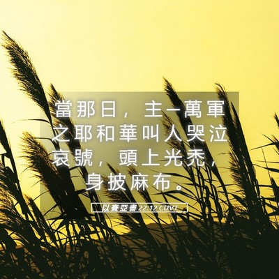 Picture 05 - 以 賽 亞 書 22:12 CUVT - 當 那 日 ， 主 ─ 萬 軍 之 耶 和 華 - Bible Verse Picture