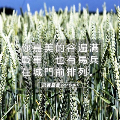 Picture 05 - 以 賽 亞 書 22:7 CUVT - 你 嘉 美 的 谷 遍 滿 戰 車 ， 也 有 - Bible Verse Picture