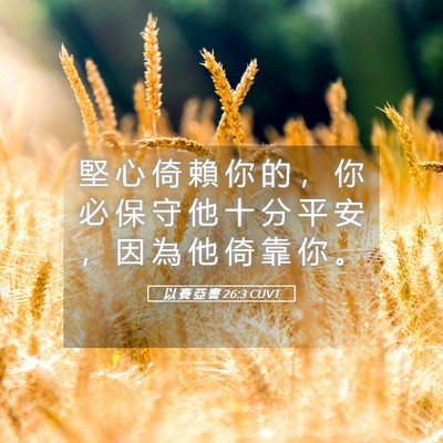 Picture 05 - 以 賽 亞 書 26:3 CUVT - 堅 心 倚 賴 你 的 ， 你 必 保 守 他 - Bible Verse Picture