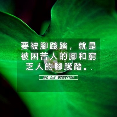 Picture 05 - 以 賽 亞 書 26:6 CUVT - 要 被 腳 踐 踏 ， 就 是 被 困 苦 人 - Bible Verse Picture