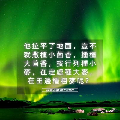 Picture 05 - 以 賽 亞 書 28:25 CUVT - 他 拉 平 了 地 面 ， 豈 不 就 撒 種 - Bible Verse Picture